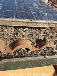 Guano_piccioni_Impianto_fv